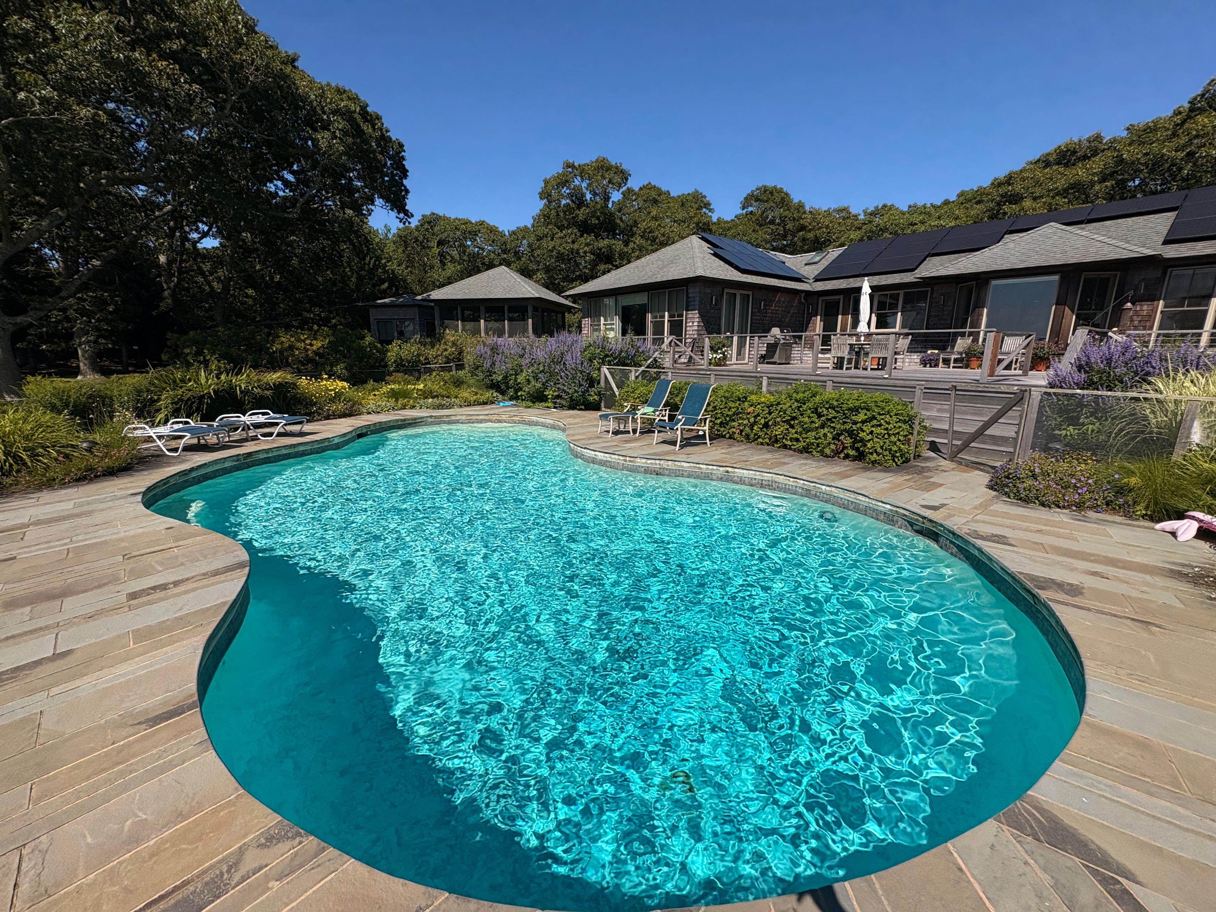 Luxury Concrete Pool Modern Architecture